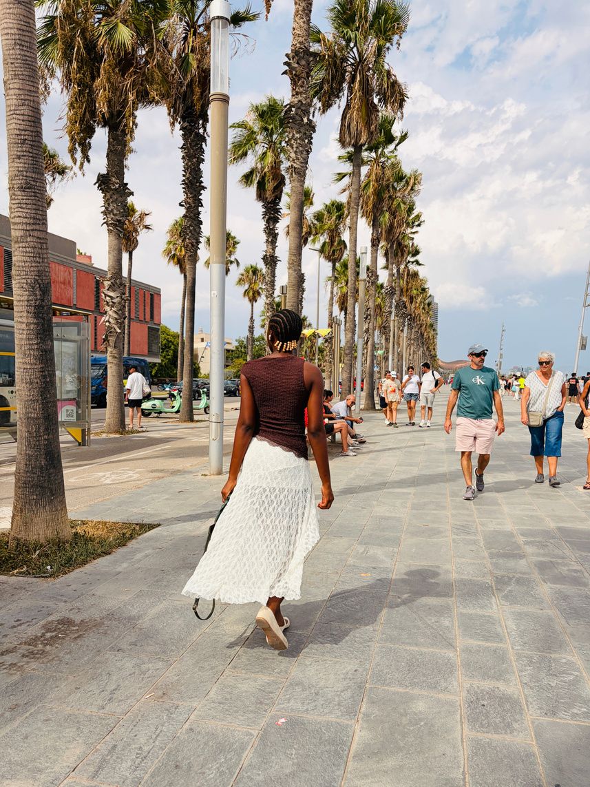 Promenade bordée de palmiers